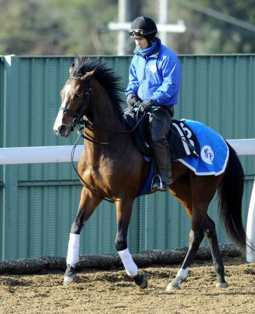 　栗東の角馬場で運動するリヤンドファミユ（撮影・片岡寛尚）