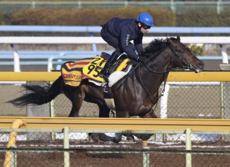 　マクドノーを背に美浦Ｗで追い切るルルーシュ