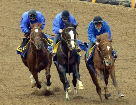 　美浦Ｗでの３頭併せで軽快な動きを披露したストローハット（左）