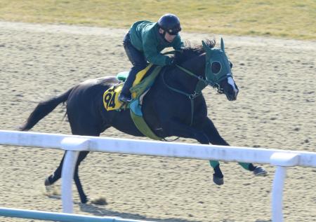 　美浦Ｐで鋭く伸びたガルボ（撮影・三好信也）