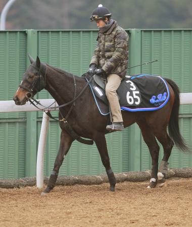 　実績のある東京で、重賞２勝目を狙うコレクターアイテム