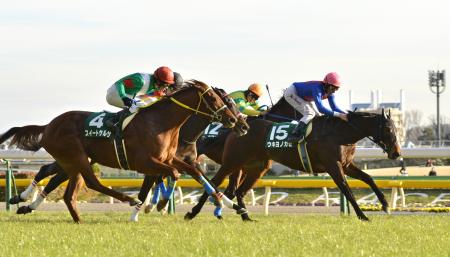 　見事な差し切りで重賞初Ｖを決めたウキヨノカゼ（撮影・田村亮介）