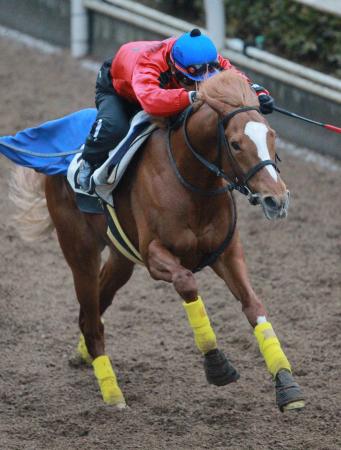 　得意舞台での重賞制覇へ気合の入るエクスペディション