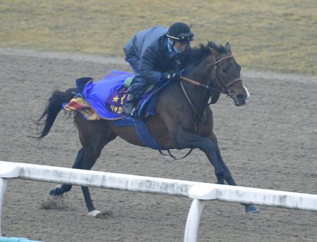 　美浦Ｐで鋭い動きを見せたジャガーメイル（撮影・三好信也）