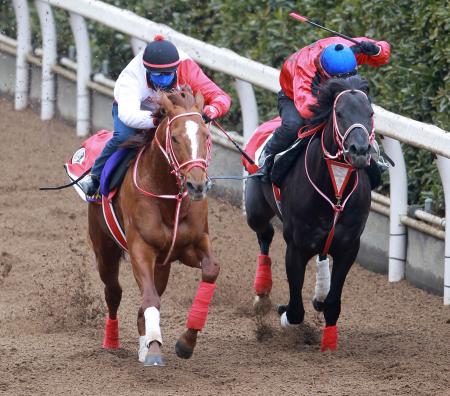 　栗東坂路で上がり重点の追い切りを行ったガンジス（左）（撮影・石湯恒介）