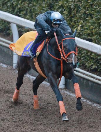 　栗東坂路で迫力ある動きを披露したカレンブラックヒル（撮影・石湯恒介）