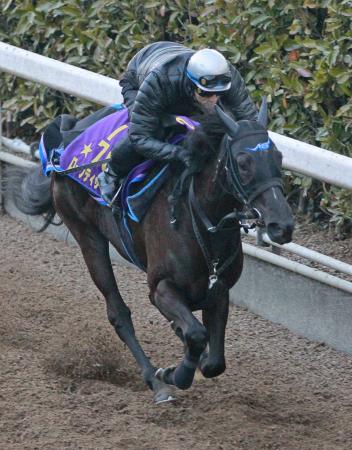 　栗東坂路で順調に調整を行うローブティサージュ