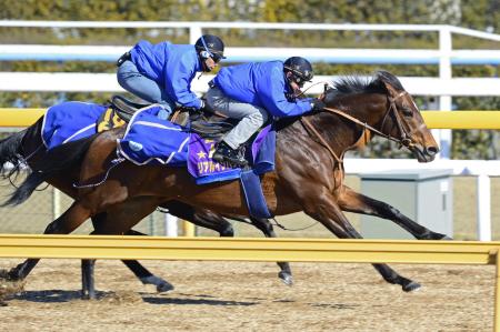 　美浦Ｗの併せ馬で上々の反応を見せたリアルインパクト（手前）（撮影・三好信也）