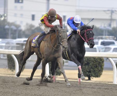 　引退レースを飾ったミラクルレジェンド（左）