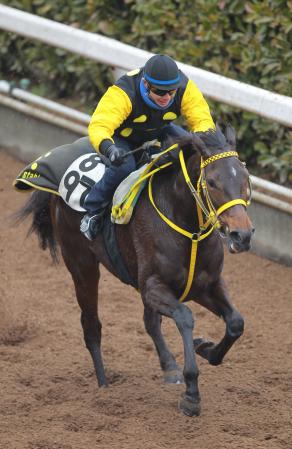 　重賞初Ｖを狙うサンシャイン