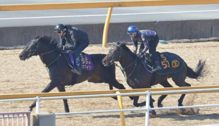 　始動戦に向けて上々の動きを見せたロゴタイプ（左）