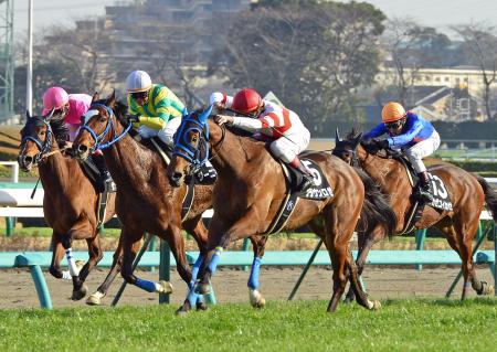 　無傷の３連勝を決めたクラウンロゼ（中央）（撮影・持木克友）