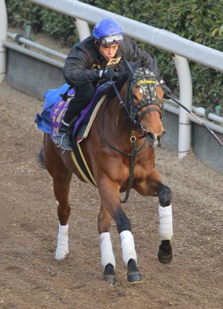 　栗東坂路で追い切るジェンティルドンナ