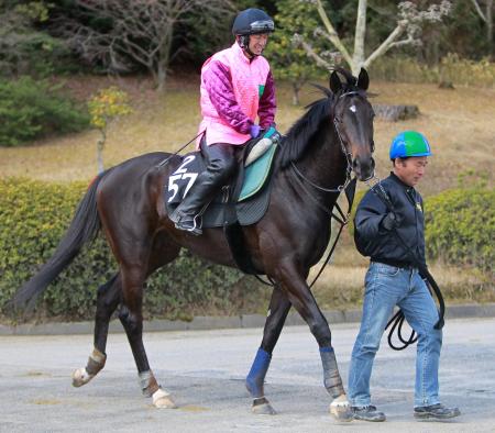 　毎日杯で賞金加算を目指すキズナ