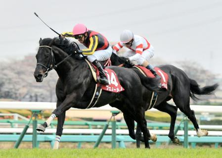 　直線で差し切り日経賞を制したフェノーメノ（撮影・田村亮介）