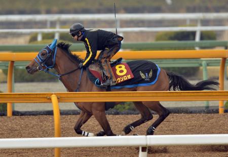 　栗東ＣＷで陣営も納得の動きを見せたクラウンロゼ（撮影・保田叔久）