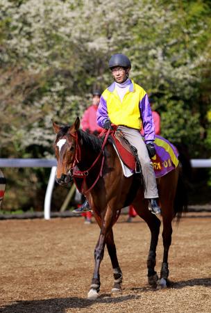 　大外一気で桜冠を狙うメイショウマンボ