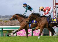 　（左）最後の直線で激しく競り合うアユサン（左）とレッドオーヴァル