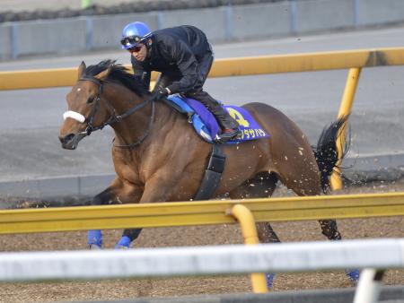 　蛯名を背に美浦Ｗで目下の勢いを見せつけたカミノタサハラ（撮影・三好信也）