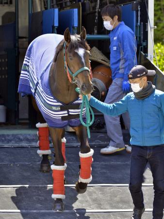 　順調な輸送で中山に到着したエピファネイア（撮影・田村亮介）