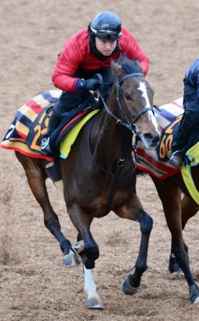 　精神面が成長し華麗に変身したブリリアントアスク