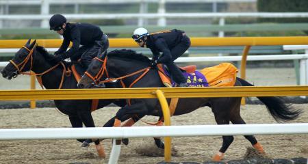 　栗東ＣＷで陣営も納得の動きを見せたカレンブラックヒル（手前）＝撮影・佐々木彰尚