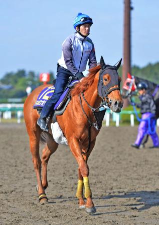 　巻き返しを狙う柴田大＆マイネルホウオウ