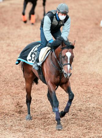 重賞連勝を狙うトウケイヘイロー（撮影・石湯恒介）