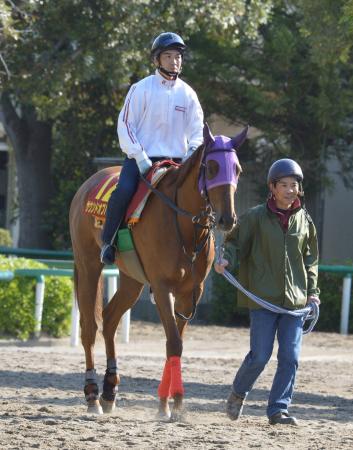 　マイル女王へ好ムードを漂わせるサウンドオブハート