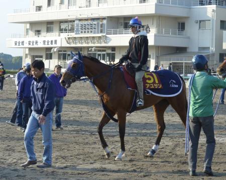 　史上１４頭目の牝馬クラシック２冠を狙うアユサン