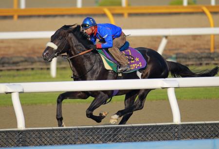 　栗東ＤＰを軽快に駆け抜けたニホンピロアワーズ