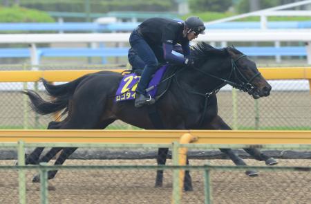 　美浦Ｗで皐月賞馬の貫禄を示したロゴタイプ（手前）