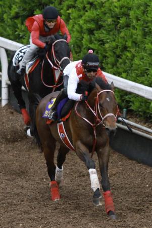 　坂路の併せ馬で先着を決めたグランプリボス