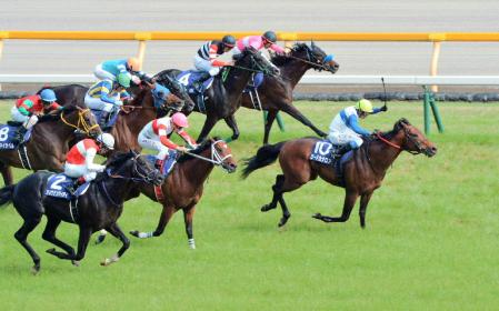 安田記念、ロードカナロアが優勝/レース/デイリースポーツ online