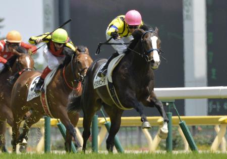 　好内容で新馬戦を勝ち上がったイスラボニータ（撮影・田村亮介）