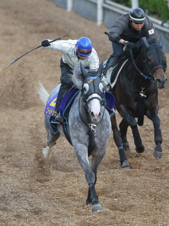 　内田博を背に栗東坂路の併せ馬で先着を決めたゴールドシップ（左）