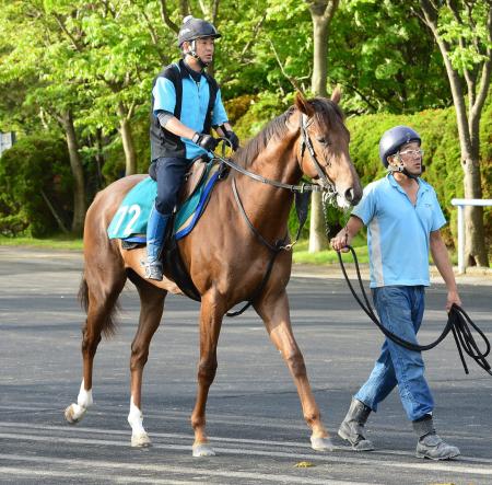 　新種牡馬ディープスカイ産駒のキャンバス