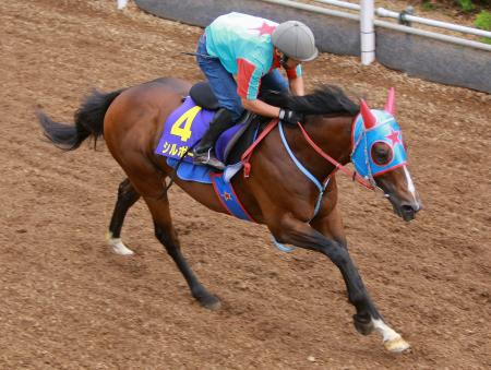 　軽快なフットワークを披露したシルポート