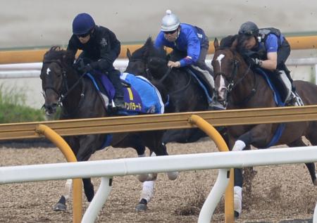 　３頭併せで先着したダノンバラード（左）＝撮影・岡田育磨