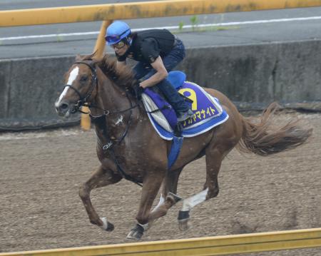 　柴田善を背に美浦Ｗを駆けるナカヤマナイト