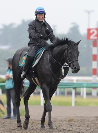 　新馬戦で好調なフジキセキ産駒のロサギガンティアが波に乗る