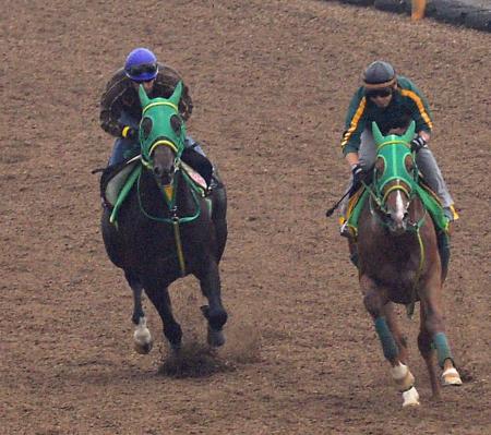 　内田博を背に美浦Ｗでガイヤースヴェルト（左）は切れのある動きを見せた（撮影・持木克友）