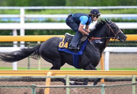 　美浦Ｗを飛ぶように駆け抜けたインプロヴァイズ（撮影・持木克友）