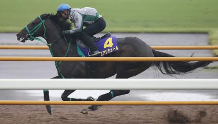 　和田を背に函館Ｗで追われるエアソミュール