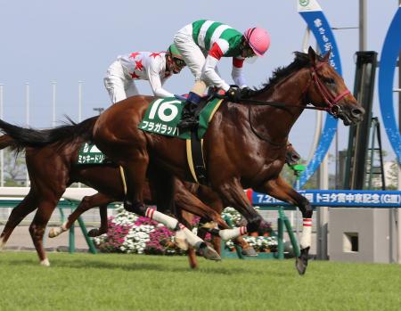 中京記念】フラガラッハ父に捧ぐ連覇/レース/デイリースポーツ online
