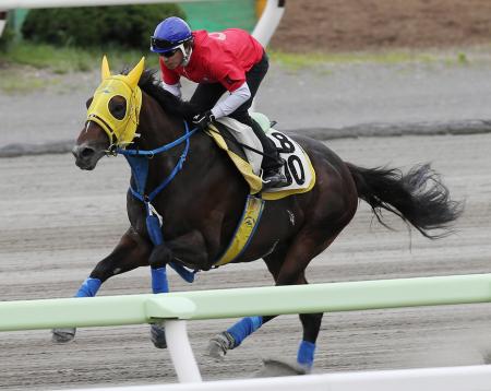 　勝浦を背に函館ダートで好ムードを漂わせたパドトロワ　