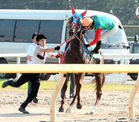 アイビスＳＤ】ハクサンムーンがＶ/競馬・レース/デイリースポーツ