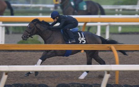 　栗東ＣＷで軽快な走りを見せたラブリーデイ（撮影・佐々木彰尚）