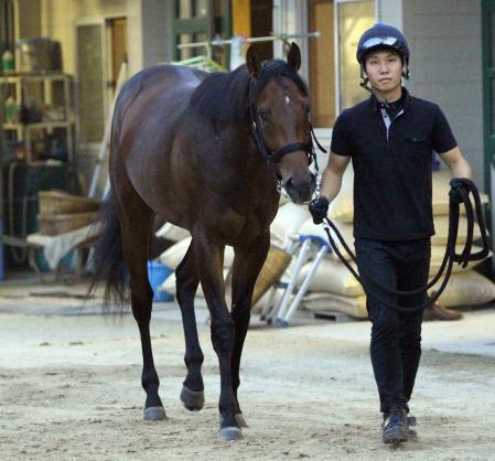 　昨年のデイリー杯２歳Ｓ覇者のテイエムイナズマを兄に持つテイエムモンスター（撮影・佐々木彰尚）