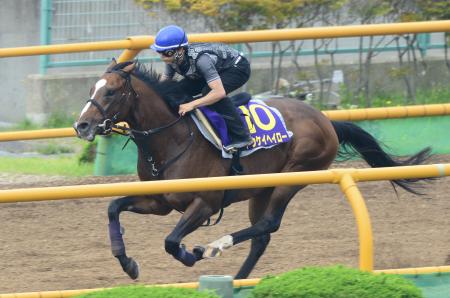 　函館Ｗで充実ぶりを見せつけたトウケイヘイロー